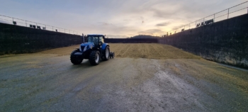 Dusání silážní kukuřice | AGROFARMA DUBNICE