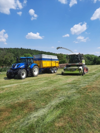 Sklizeň píce | AGROFARMA DUBNICE