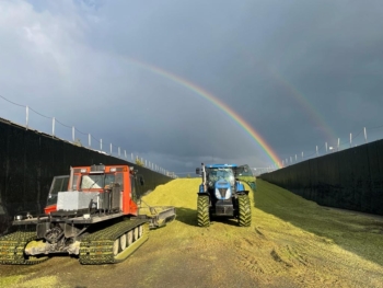 Silážování kukuřice sněžnou rolbou | AGROFARMA DUBNICE