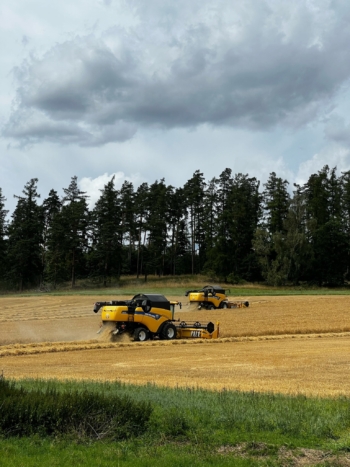 Sklizeň ječmene jarního | AGROFARMA DUBNICE