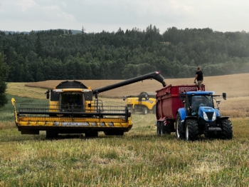 Sklizeň řepky ozimé | AGROFARMA DUBNICE