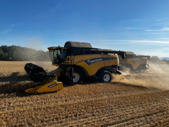 Sklizeň pšenice ozimé 3 | AGROFARMA DUBNICE