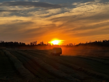 Sběr slámy při západu slunce | AGROFARMA DUBNICE