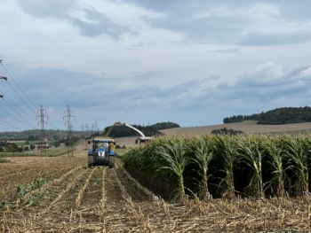 Sklizeň silážní kukuřice v akci 2 | AGROFARMA DUBNICE
