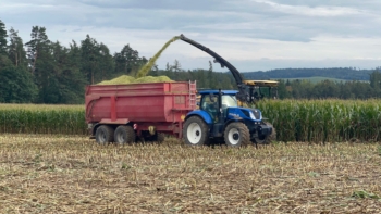 Sklizeň silážní kukuřice v akci | AGROFARMA DUBNICE
