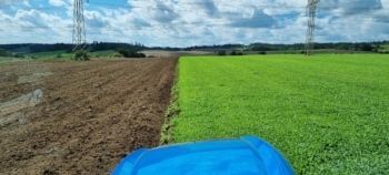 Orba zeleného hnojení | AGROFARMA DUBNICE