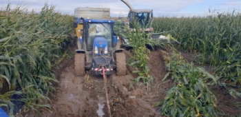 Silážování kukuřice v období dešťů | AGROFARMA DUBNICE