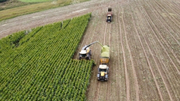 Sklizeň silážní kukuřice v akci 1 | AGROFARMA DUBNICE